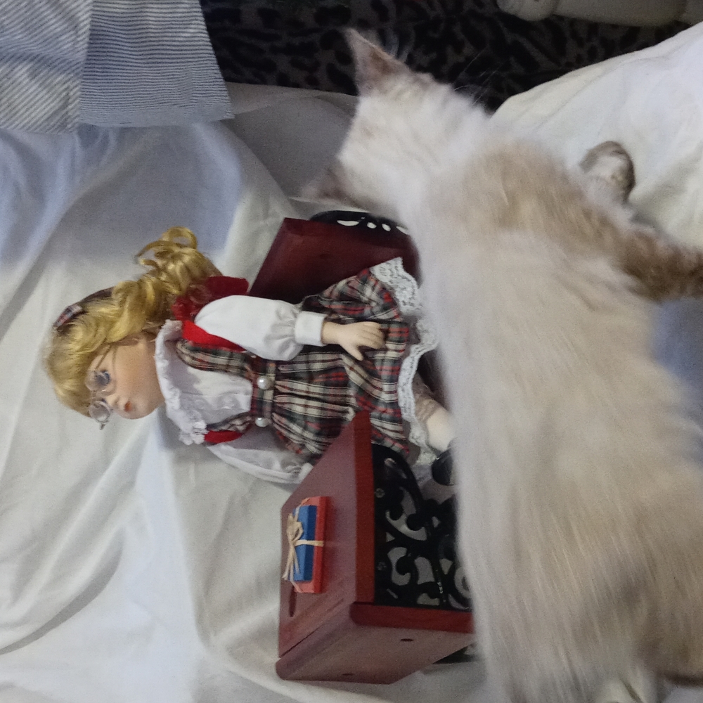 AVAILABLE -Unknown designer Beautiful Porcelain doll (desk not included.)